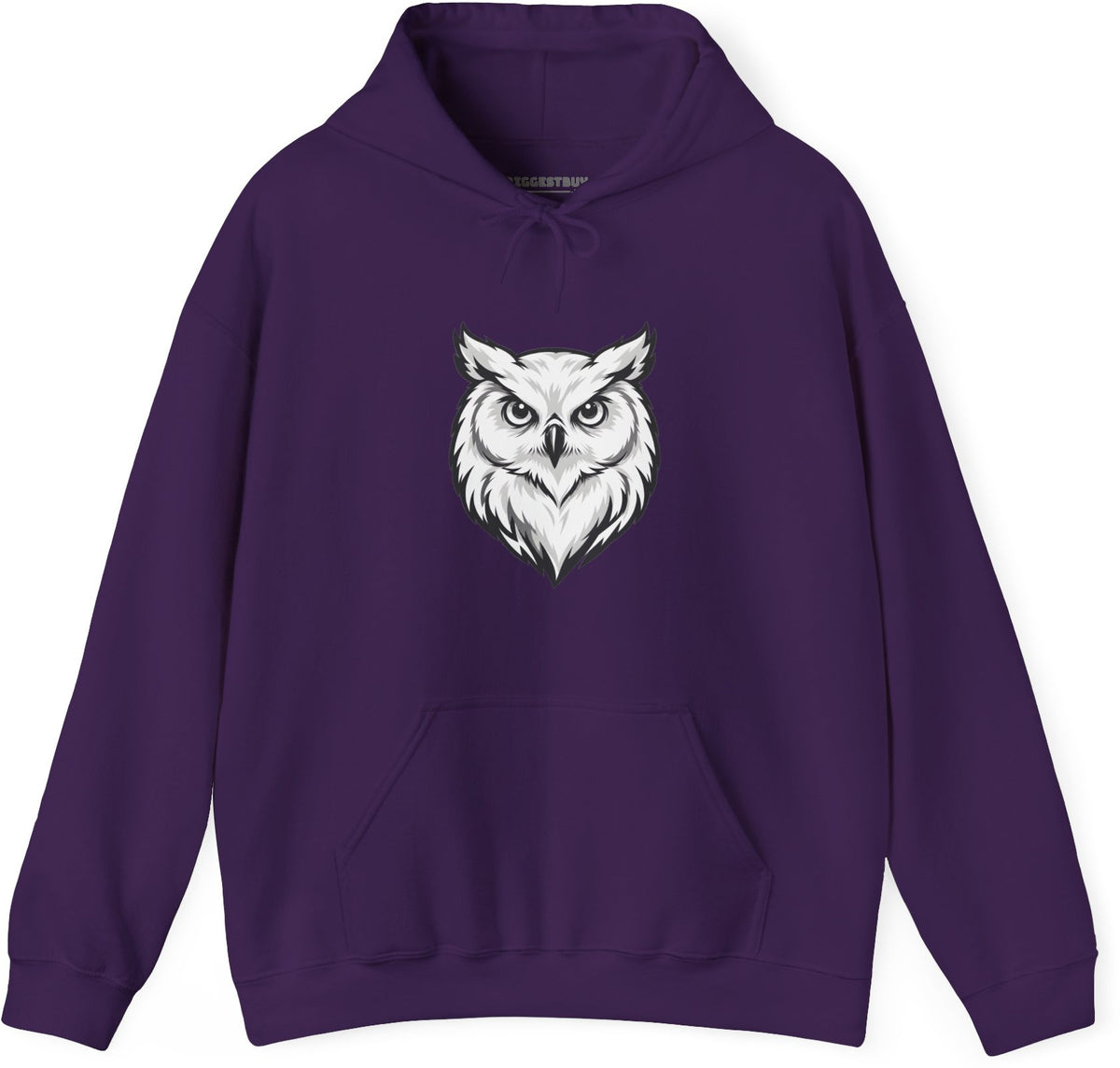 Owl Watch - Pullover Hoodie in Purple, front view