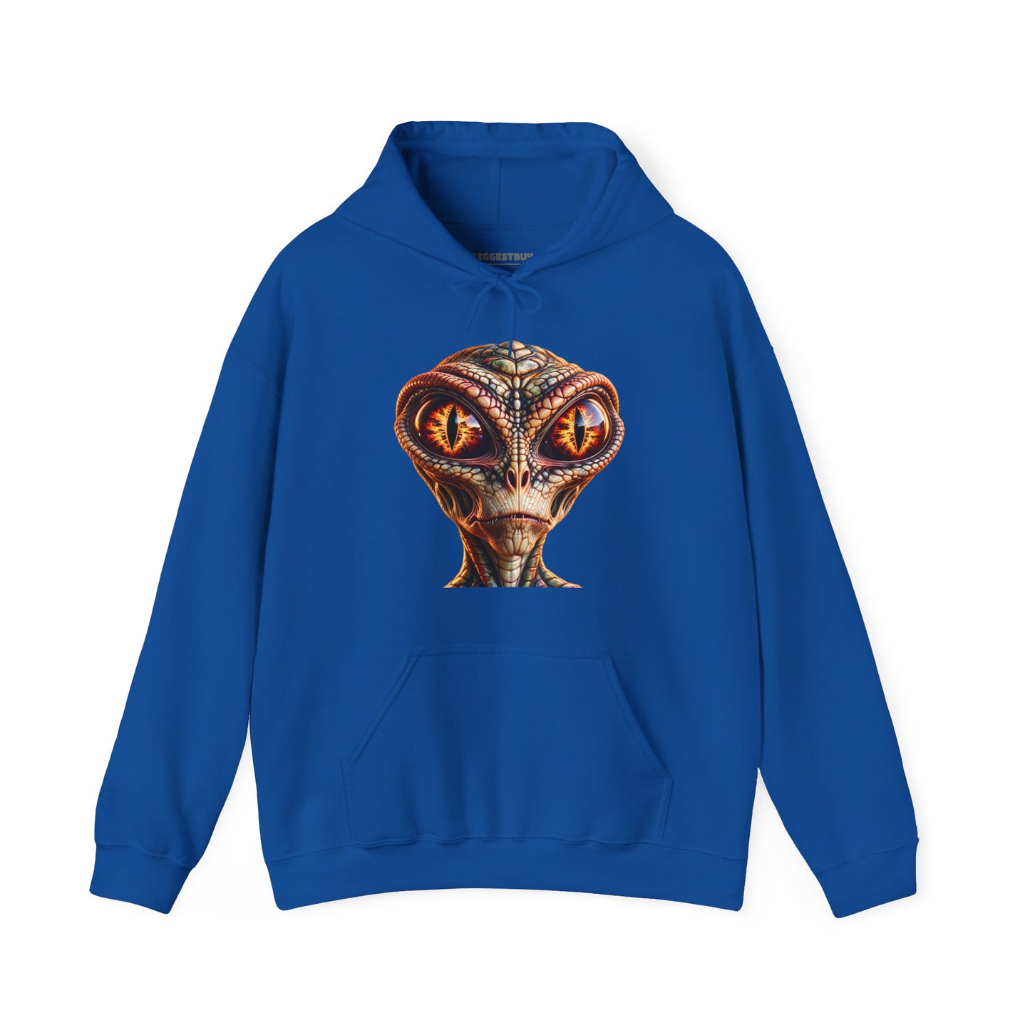 Alien Gaze - Pullover Hoodie