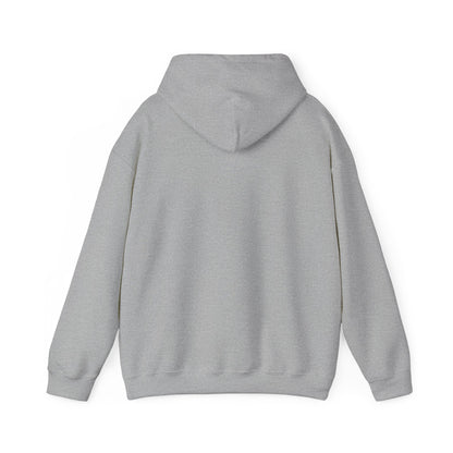 Owl Watch - Pullover Hoodie