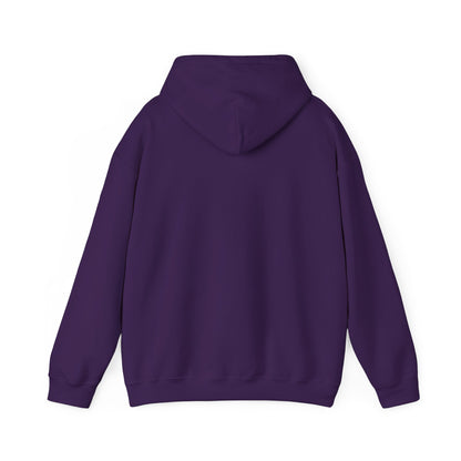 Owl Watch - Pullover Hoodie