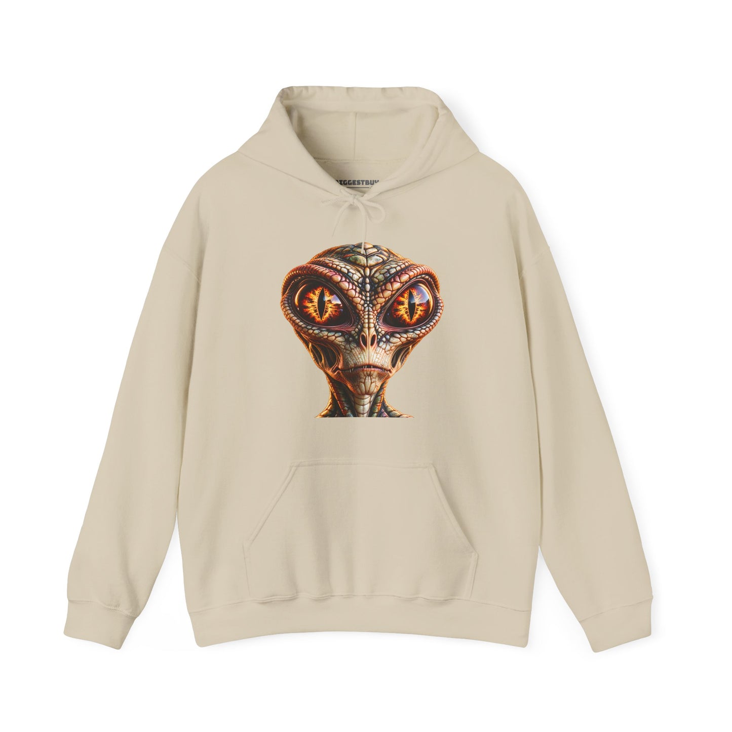 Alien Gaze - Pullover Hoodie