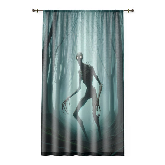 Curtain