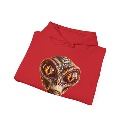 Alien Gaze - Pullover Hoodie