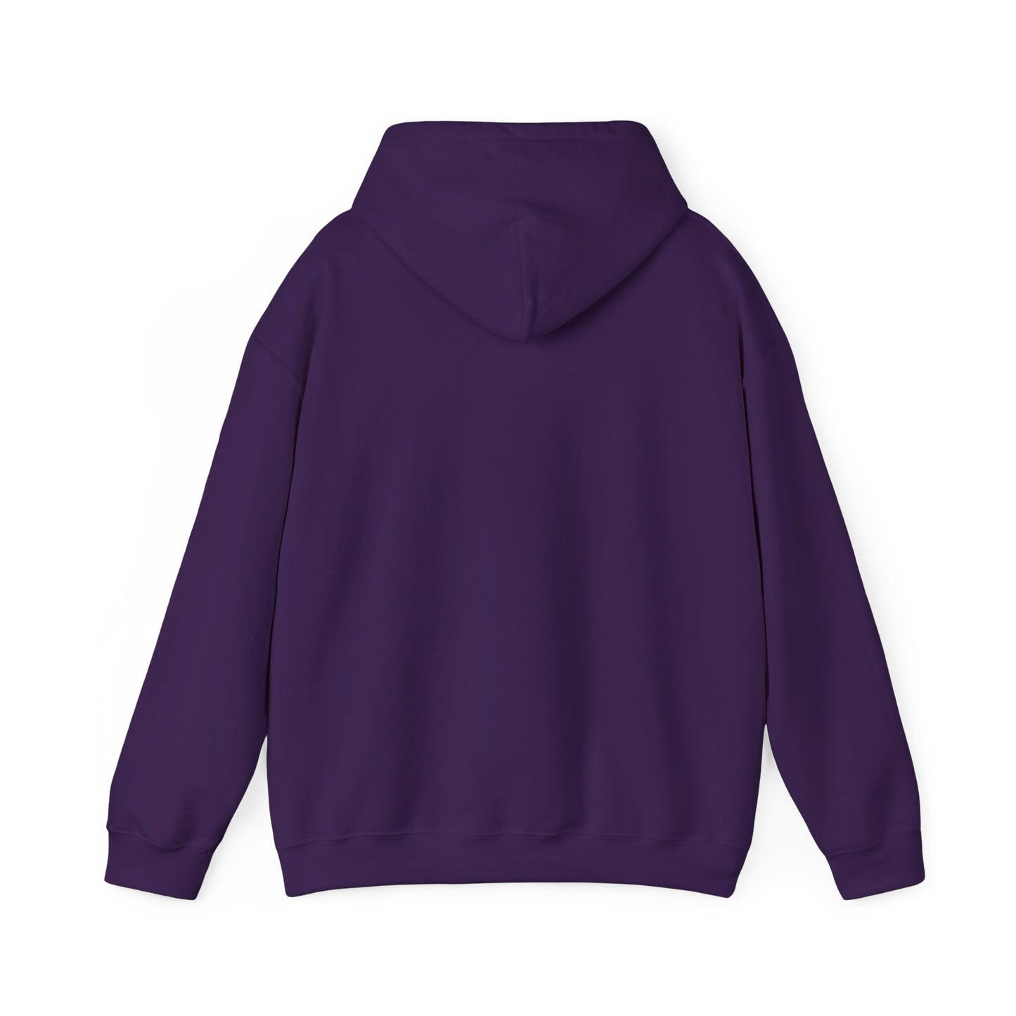 Offline Orbit - Pullover Hoodie