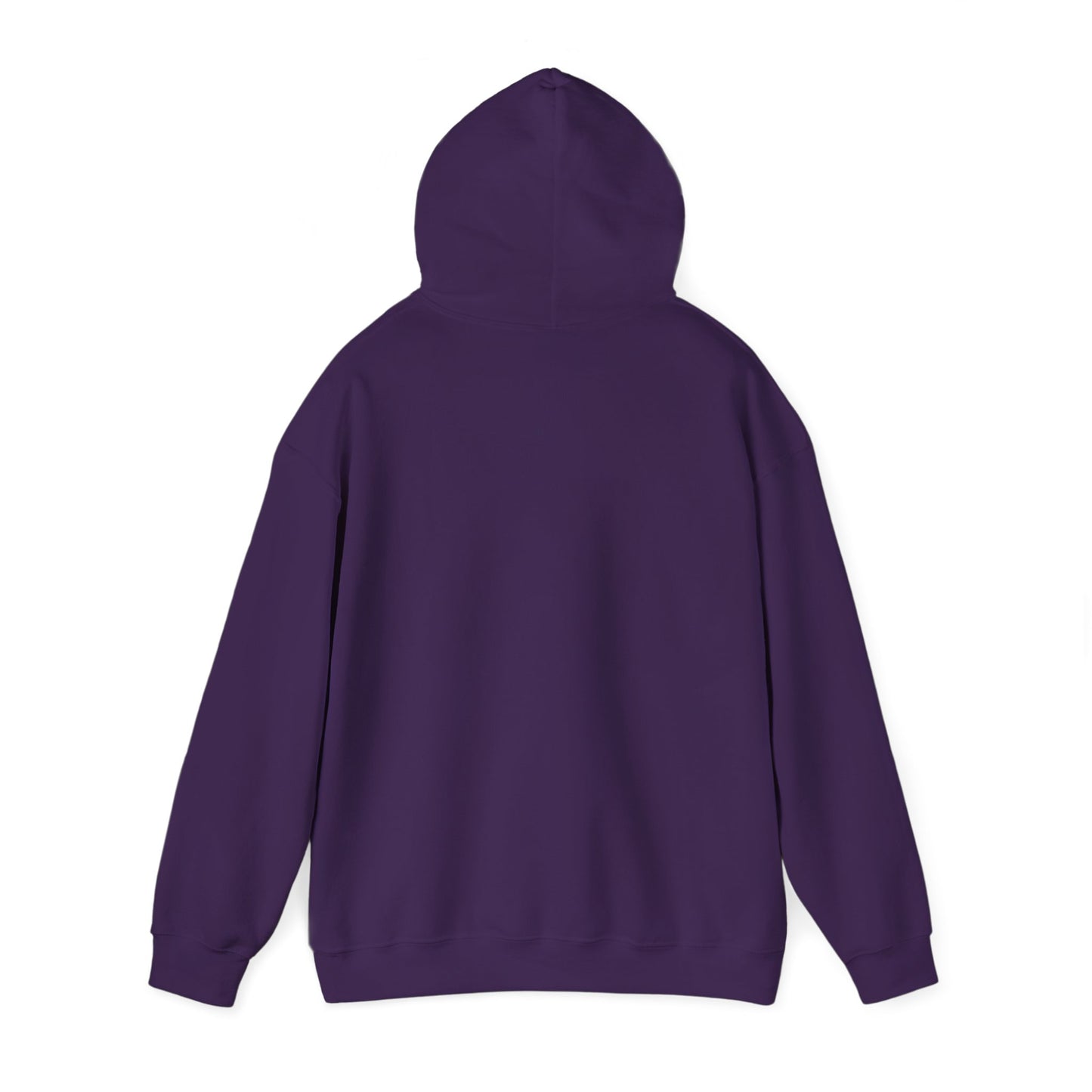 Owl Watch - Pullover Hoodie