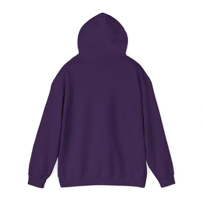 Owl Watch - Pullover Hoodie
