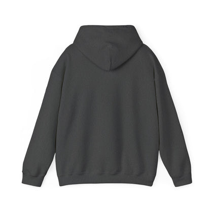 Social Recharge - Pullover Hoodie