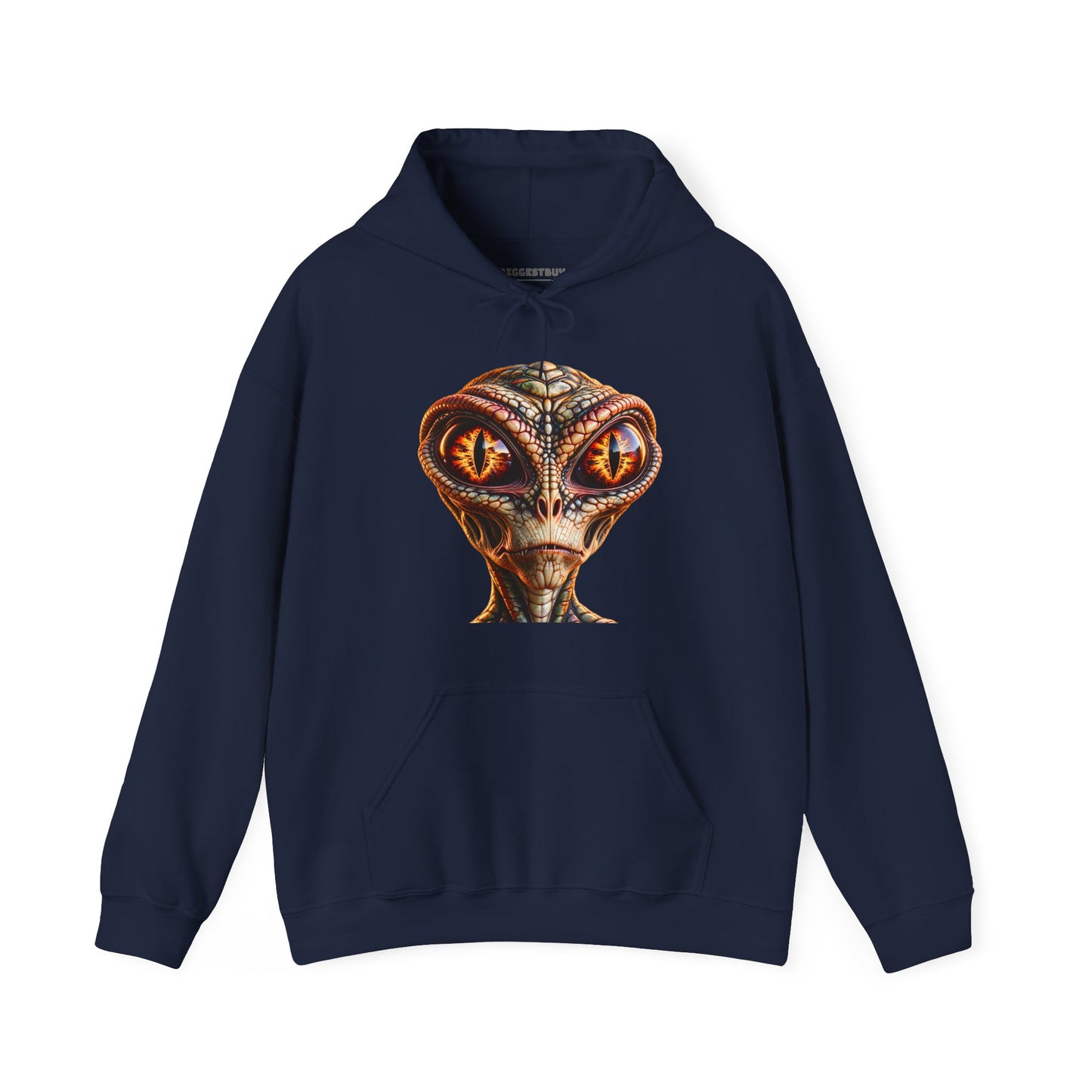 Alien Gaze - Pullover Hoodie