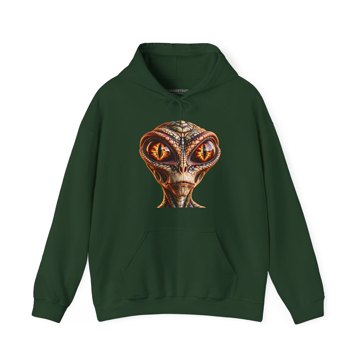 Alien Gaze - Pullover Hoodie