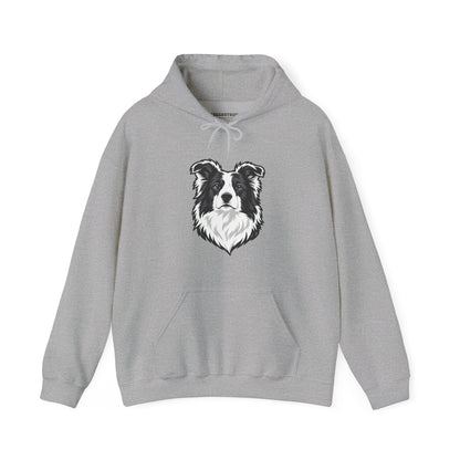 Collie Crest - Pullover Hoodie