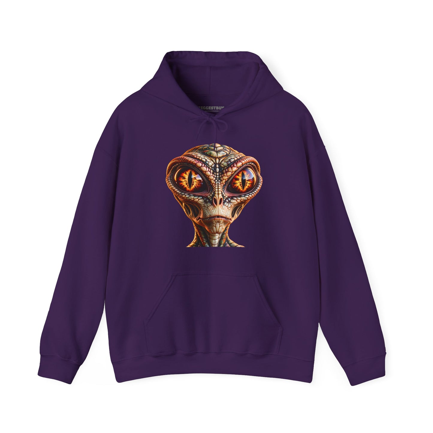 Alien Gaze - Pullover Hoodie