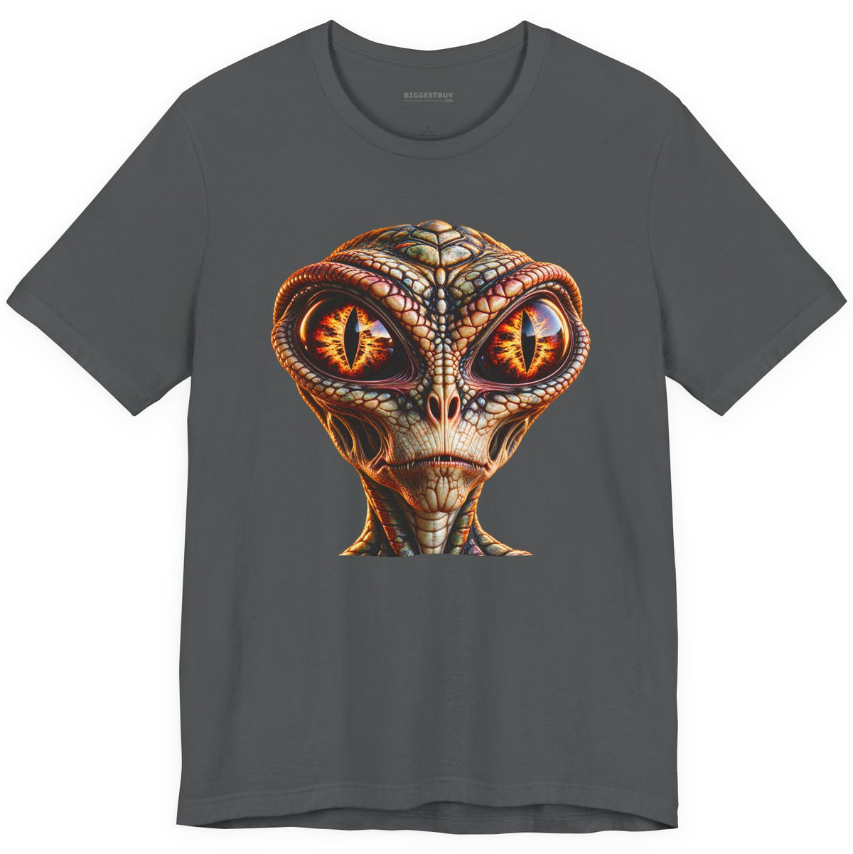 Alien Gaze - Classic Jersey Tee in Asphalt, front view