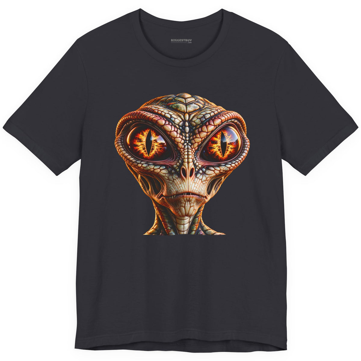 Alien Gaze - Classic Jersey Tee in Dark Grey, front view