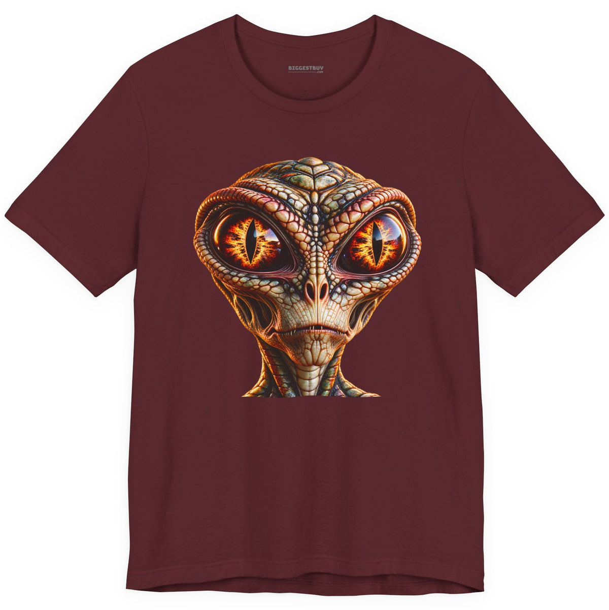 Alien Gaze - Classic Jersey Tee in Maroon, front view