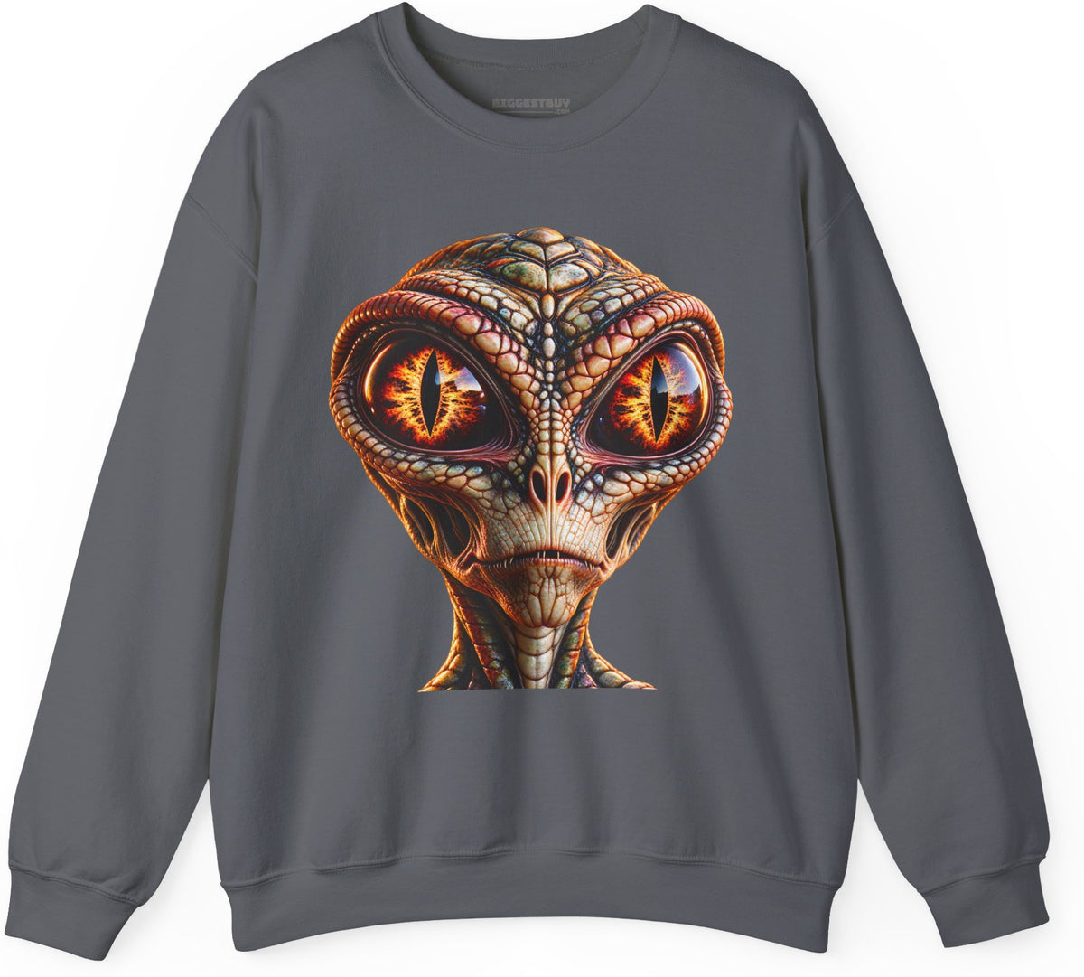 Alien Gaze - Crewneck Sweatshirt in Charcoal, front view