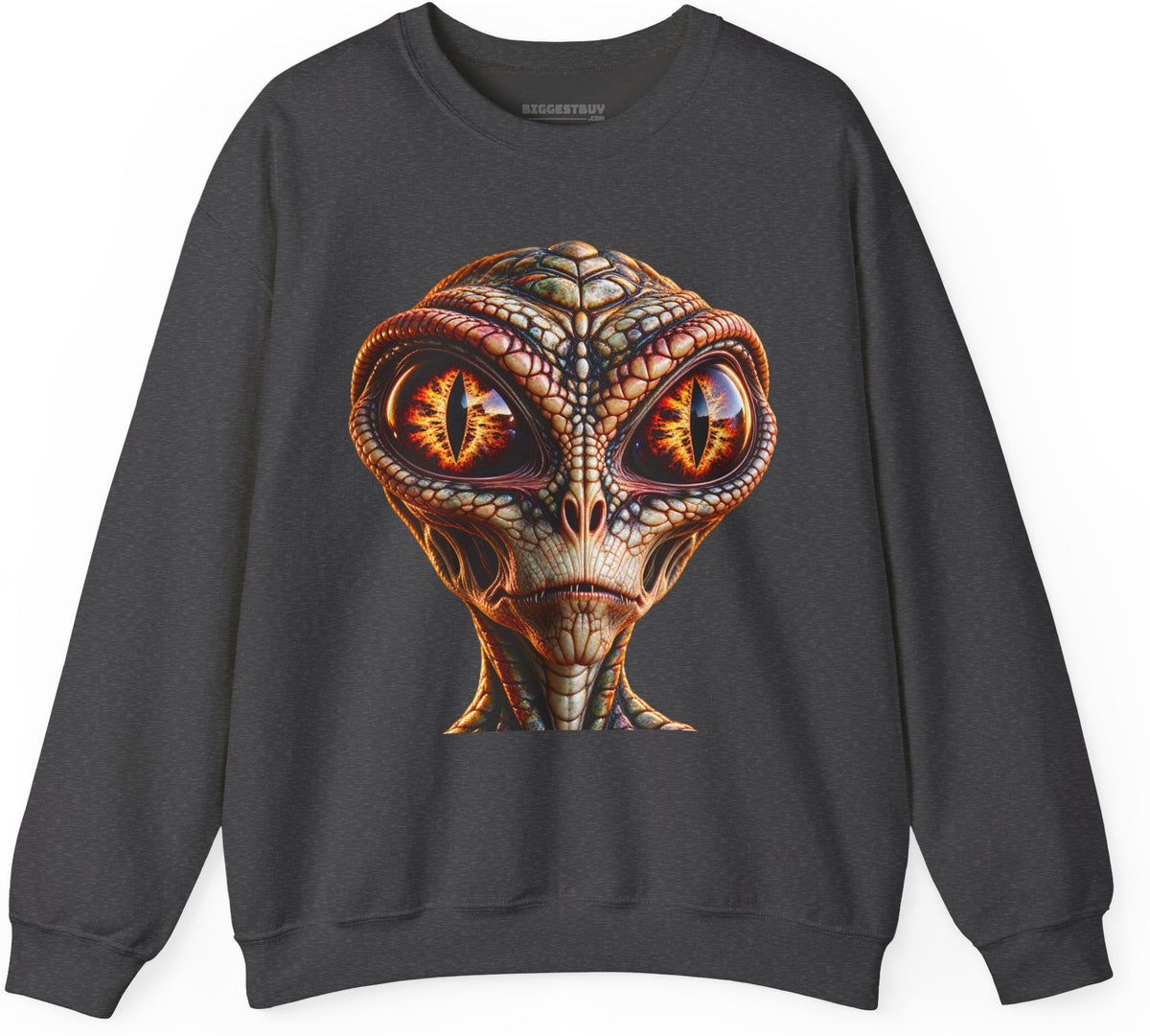 Alien Gaze - Crewneck Sweatshirt in Dark Heather, front view