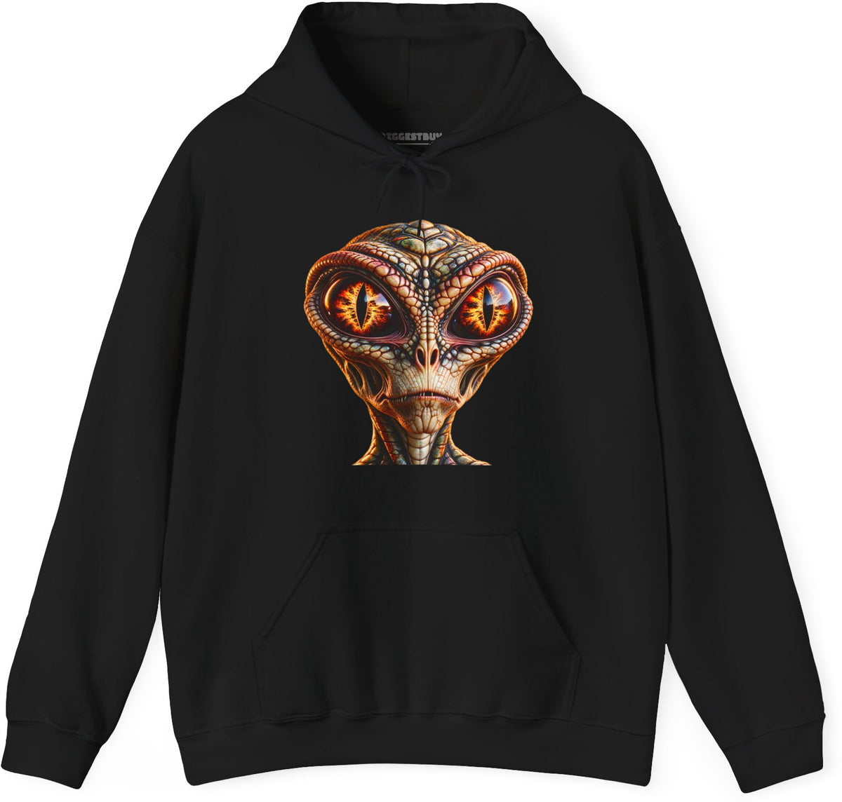 Alien Gaze - Pullover Hoodie in Black, front view