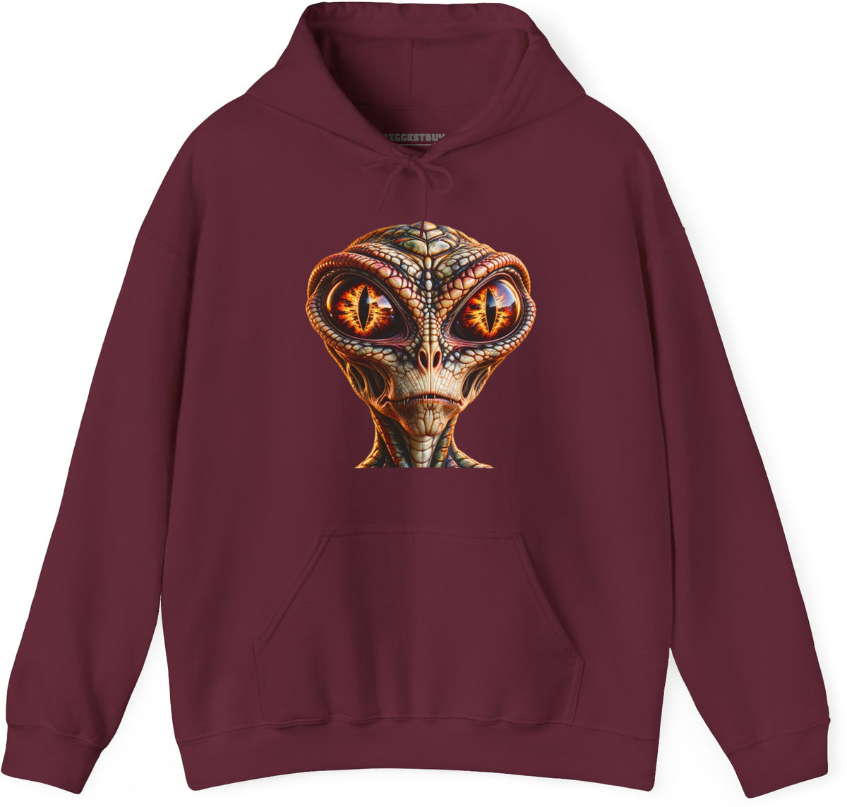 Alien Gaze - Pullover Hoodie in Maroon, front view