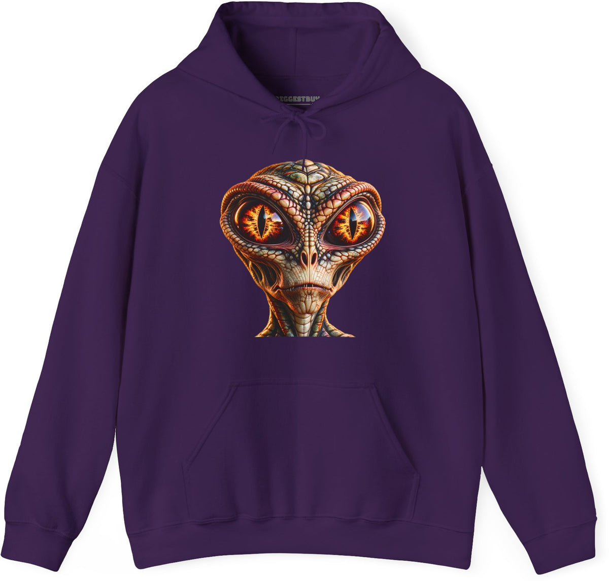 Alien Gaze - Pullover Hoodie in Purple, front view