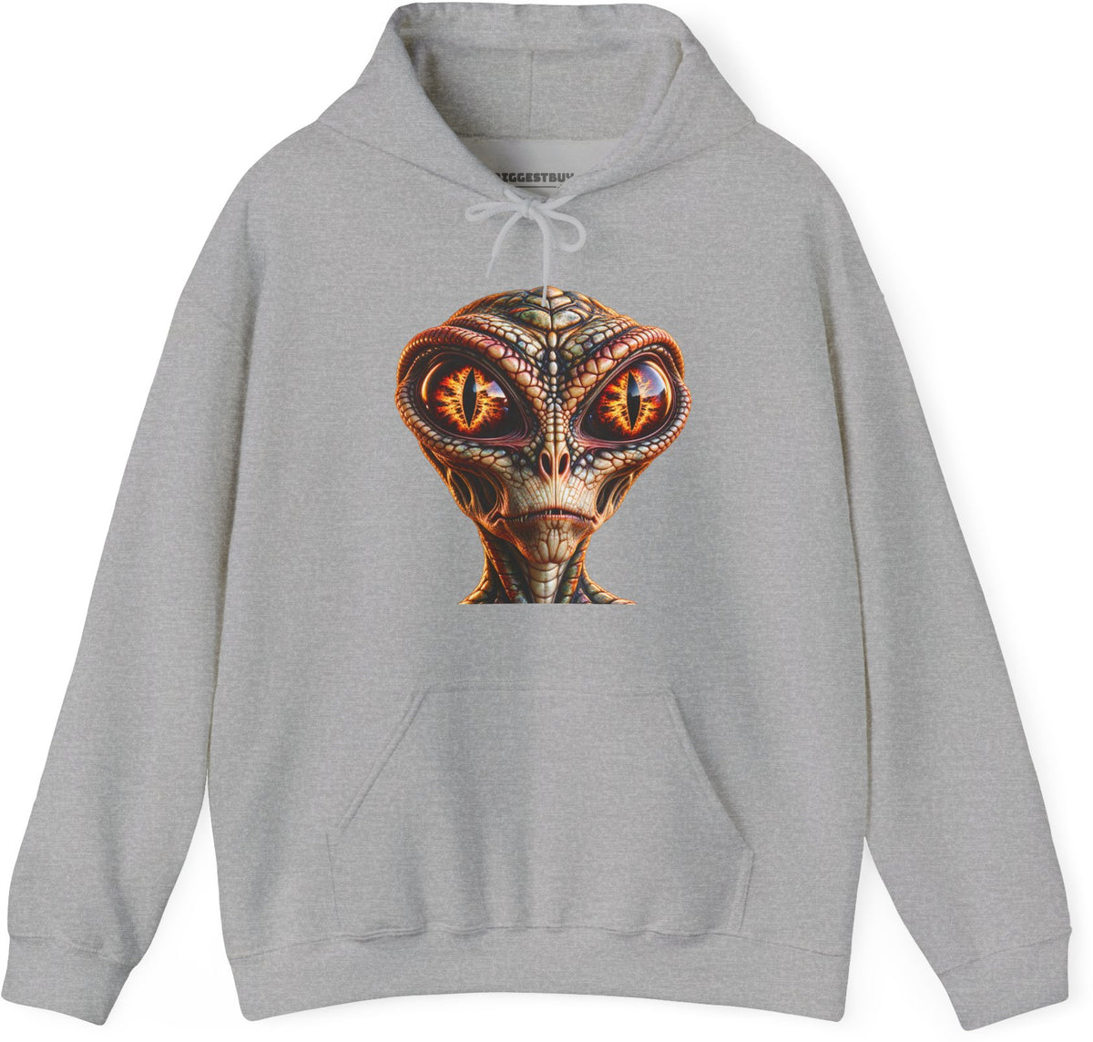 Alien Gaze - Pullover Hoodie in Sport Grey, front view