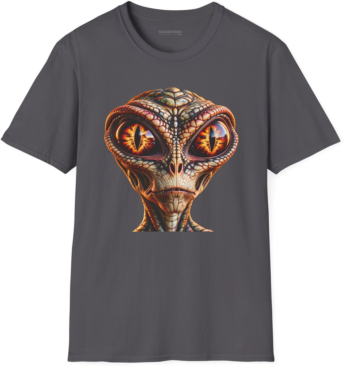 Alien Gaze - Softstyle T-Shirt in Charcoal, front view