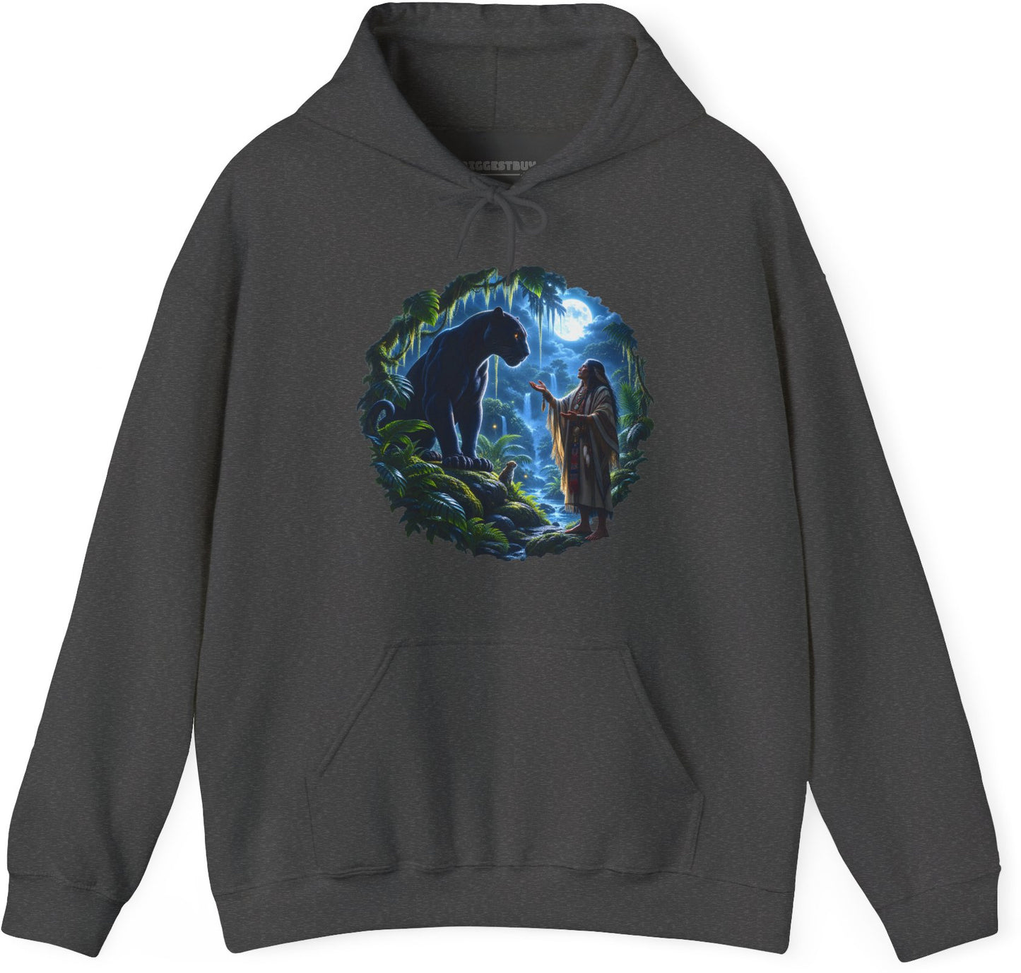 Feline Oracle - Pullover Hoodie in Dark Heather, front view