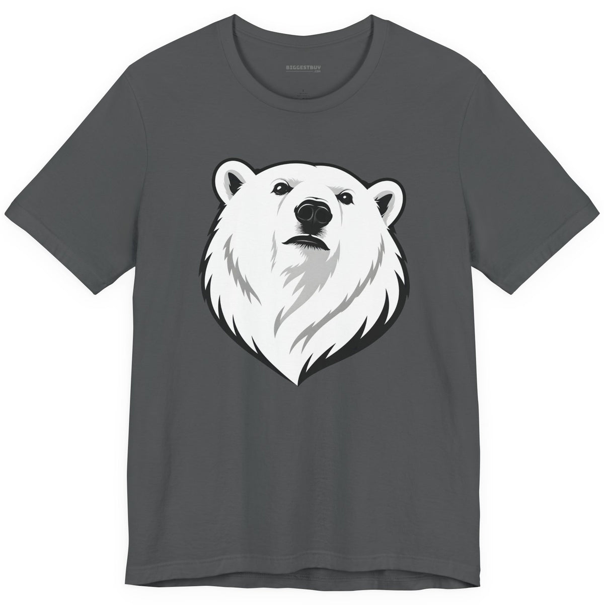Polar Pride - Classic Jersey Tee in Asphalt, front view