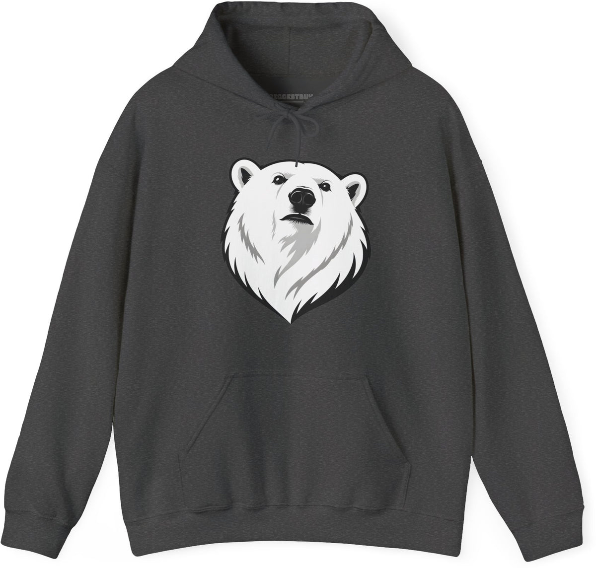 Polar Pride - Pullover Hoodie in Dark Heather, front view